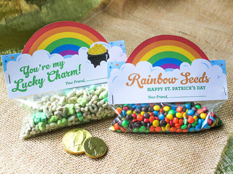 Two treat bags with rainbow-themed labels are on a burlap surface. One bag has cereal, labeled Youre my Lucky Charm! The other bag contains colorful candies, labeled Rainbow Seeds. Two gold coins are placed in front.