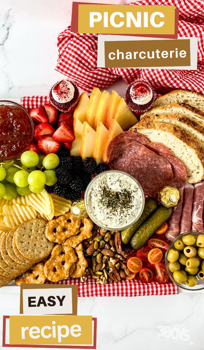A picnic charcuterie board rests on a red and white checkered cloth, showcasing salami, bread, cheese, strawberries, grapes, blackberries, crackers, pretzels, nuts, cherry tomatoes, pickles, and cups of dip. Decorative text reads Easy Picnic Charcuterie Recipe.