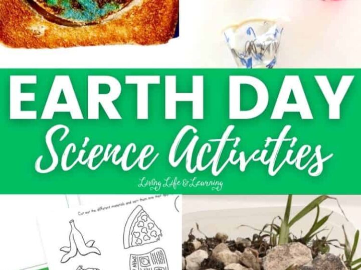 Collage of Earth Day science activities: a colorful circular artwork, decorated plant pots, a printable activity sheet, and a small garden with rocks and eggshells in a container. Green banner reads Earth Day Science Activities.