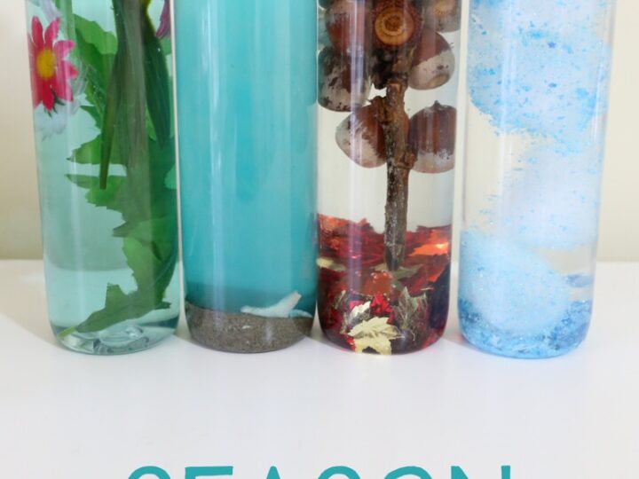 Four clear sensory bottles labeled Spring, Summer, Fall, and Winter. Each bottle contains elements representing the season: flowers for spring, sand for summer, acorns and leaves for fall, and snow-like material for winter.