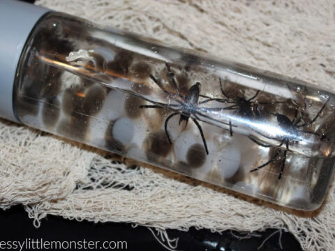 A clear bottle filled with water contains small toy spiders and round objects resembling eggs. The bottle is placed on a textured white cloth. The website name messylittlemonster.com is visible in the lower corner.