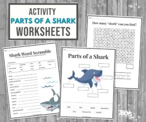 Shark Activity Printable Pack for Homeschool Learning