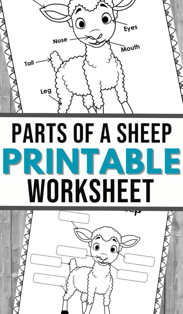 Sheep Activity Printable Set - 3 Boys and a Dog
