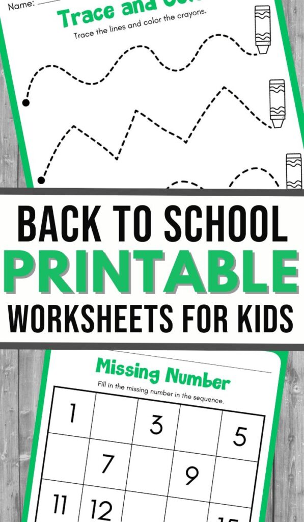 Back to School Preschool Activity Pack - 3 Boys and a Dog