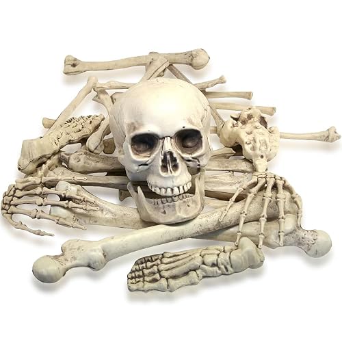 Bag of Skeleton Bones, 28 Pieces