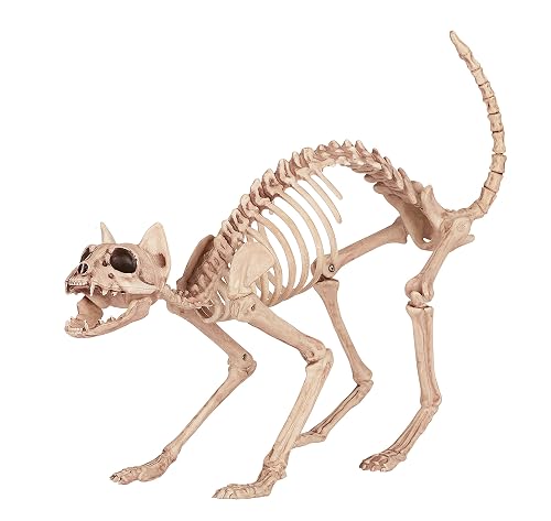 Crazy Bonez Skeleton Cat