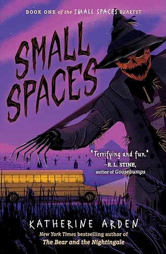 Small Spaces book cover