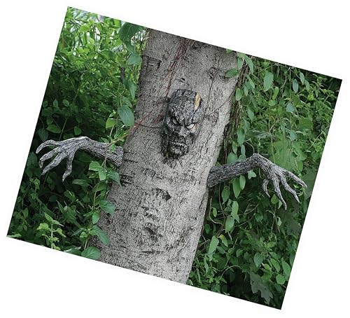 Spooky Living Tree Face