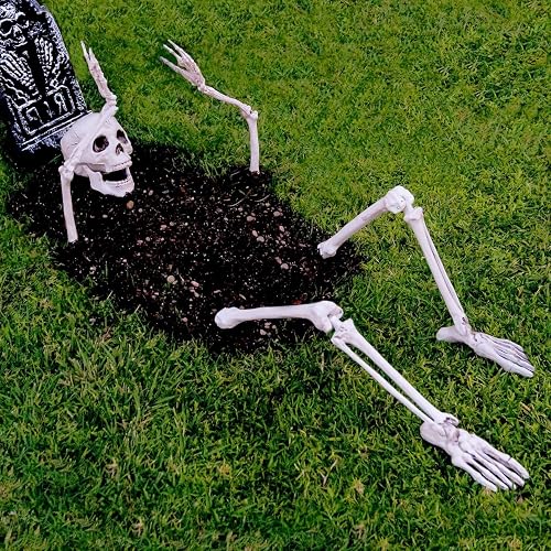 Life Size Skeleton Groundbreaker