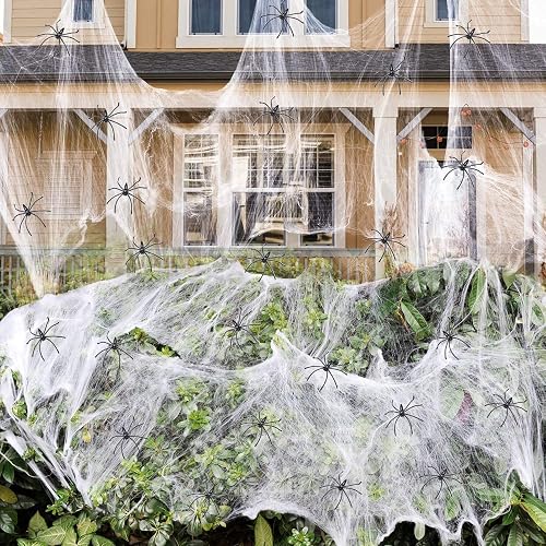 1000 Square Feet of Spider Web with 60 Spiders