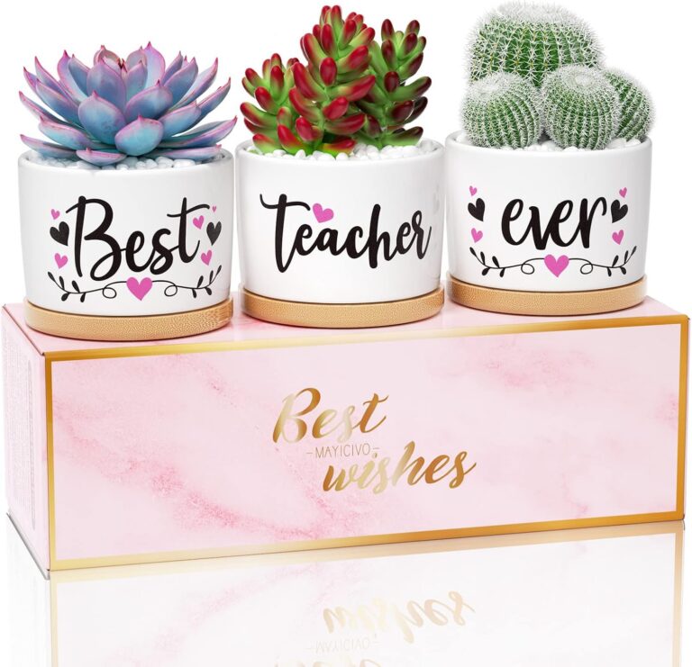 Best teacher ever ceramic succulent pots