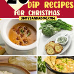 Collage of baked brie dip, spinach artichoke dip, hot crab dip and buffalo chicken dip in a crockpot with the text 20 Warm and Easy Crockpot Dip Recipes for Christmas, 3boysandadog.com